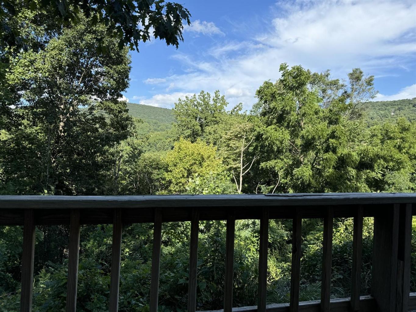 Red Roof Mountain Cabin With Starlink Internet! Stanley Extérieur photo